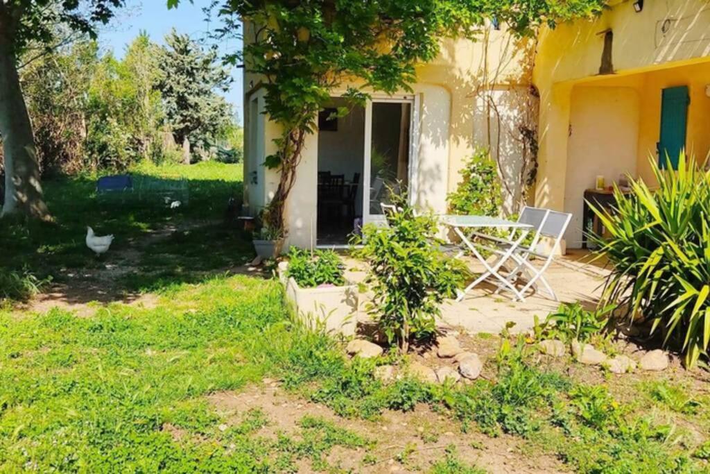 Offrez-Vous Un Sejour Dans Notre Gite A Entressen Une Grande Piscine Pour Se Rafraichir ,Un Espace De Jeux Pour Enfants Pour Des Heures De Divertissement Un Terrain De Petanque Pour Des Parties Endiablees Exterior photo
